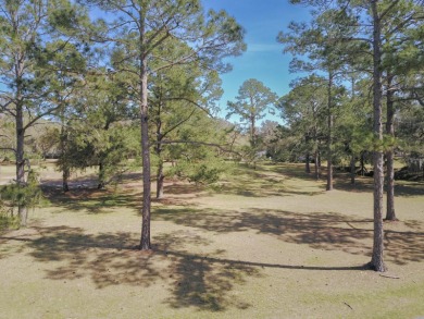 This open builder lot is ready for your dream home. Minimum on Turkey Creek Golf and Country Club in Florida - for sale on GolfHomes.com, golf home, golf lot