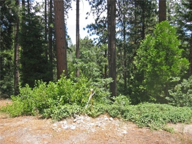 If you've dreamed of being in the mountains, yet right on a golf on Lake Arrowhead Country Club in California - for sale on GolfHomes.com, golf home, golf lot