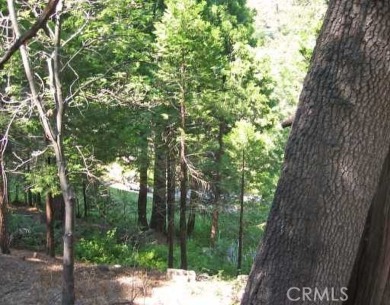 If you've dreamed of being in the mountains, yet right on a golf on Lake Arrowhead Country Club in California - for sale on GolfHomes.com, golf home, golf lot