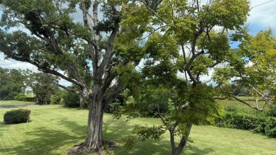 Welcome to this beautiful 2-bedroom, 2-bath END unit condo in on On Top Of The World Golf Course in Florida - for sale on GolfHomes.com, golf home, golf lot