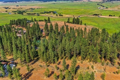 Own Idaho in the desirable MeadowCreek Subdivision where golf on Meadowcreek Golf Resort in Idaho - for sale on GolfHomes.com, golf home, golf lot