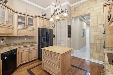 Loaded with upgrades and thoughtfully designed for luxury living on Skyview At Terra Vista Golf and Country Club in Florida - for sale on GolfHomes.com, golf home, golf lot