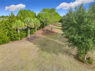 Experience the luxury of resort-style living in this beautiful on Stone Creek Golf Club in Florida - for sale on GolfHomes.com, golf home, golf lot