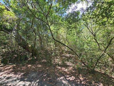 Located on a secluded Maritime Forest circle is the lot at 5 on Bald Head Island Golf Club in North Carolina - for sale on GolfHomes.com, golf home, golf lot