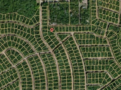 THIS IS THE VERY BEST COUNTY CLUB IN TEXAS for the money. Let me on Hilltop Lakes Resort Golf Club in Texas - for sale on GolfHomes.com, golf home, golf lot