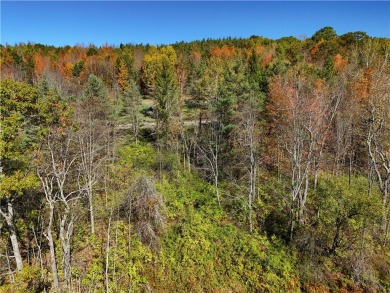 Great opportunity for a subdivision or building your dream home on Mountain Top Golf Course in New York - for sale on GolfHomes.com, golf home, golf lot