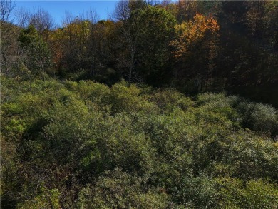 Great opportunity for a subdivision or building your dream home on Mountain Top Golf Course in New York - for sale on GolfHomes.com, golf home, golf lot