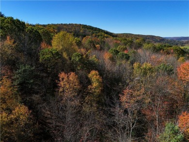Great opportunity for a subdivision or building your dream home on Mountain Top Golf Course in New York - for sale on GolfHomes.com, golf home, golf lot