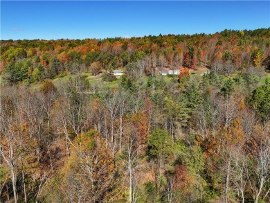 Great opportunity for a subdivision or building your dream home on Mountain Top Golf Course in New York - for sale on GolfHomes.com, golf home, golf lot