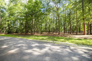 Premium 1.34 acre lot overlooking Lake Dye. List price includes on The Ford Field and River Club  in Georgia - for sale on GolfHomes.com, golf home, golf lot