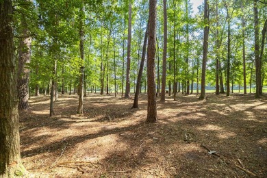 Premium 1.34 acre lot overlooking Lake Dye. List price includes on The Ford Field and River Club  in Georgia - for sale on GolfHomes.com, golf home, golf lot