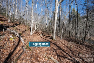 Come see this pretty, sloping lot with distant lake views on Rumbling Bald Resort on Lake Lure in North Carolina - for sale on GolfHomes.com, golf home, golf lot
