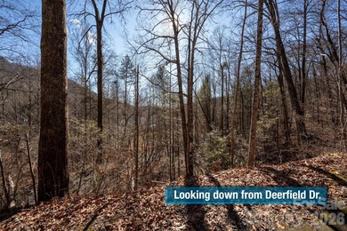 Come see this pretty, sloping lot with distant lake views on Rumbling Bald Resort on Lake Lure in North Carolina - for sale on GolfHomes.com, golf home, golf lot