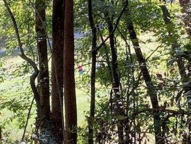 Beautiful upslope building lot at Buckhorn Estates adjoining the on White Path Golf Club in Georgia - for sale on GolfHomes.com, golf home, golf lot