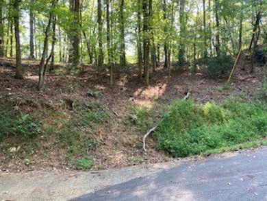 Beautiful upslope building lot at Buckhorn Estates adjoining the on White Path Golf Club in Georgia - for sale on GolfHomes.com, golf home, golf lot