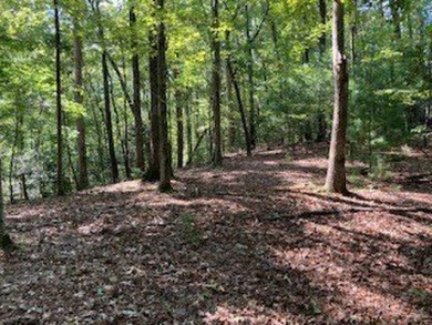 Beautiful upslope building lot at Buckhorn Estates adjoining the on White Path Golf Club in Georgia - for sale on GolfHomes.com, golf home, golf lot