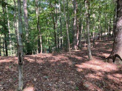 Beautiful upslope building lot at Buckhorn Estates adjoining the on White Path Golf Club in Georgia - for sale on GolfHomes.com, golf home, golf lot