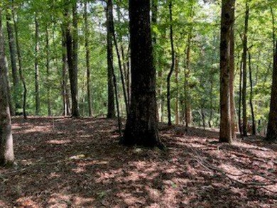 Beautiful upslope building lot at Buckhorn Estates adjoining the on White Path Golf Club in Georgia - for sale on GolfHomes.com, golf home, golf lot