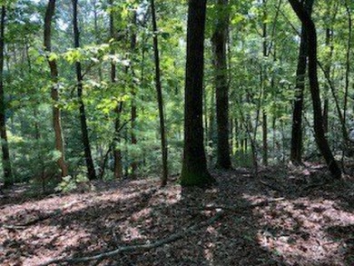 Beautiful upslope building lot at Buckhorn Estates adjoining the on White Path Golf Club in Georgia - for sale on GolfHomes.com, golf home, golf lot