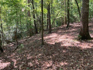 Beautiful upslope building lot at Buckhorn Estates adjoining the on White Path Golf Club in Georgia - for sale on GolfHomes.com, golf home, golf lot
