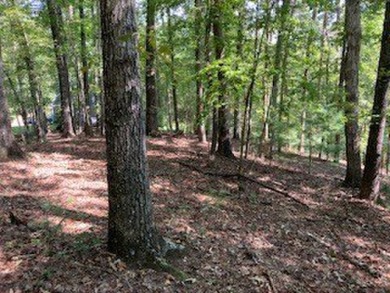 Beautiful upslope building lot at Buckhorn Estates adjoining the on White Path Golf Club in Georgia - for sale on GolfHomes.com, golf home, golf lot