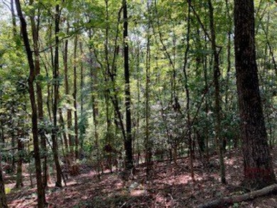 Beautiful upslope building lot at Buckhorn Estates adjoining the on White Path Golf Club in Georgia - for sale on GolfHomes.com, golf home, golf lot