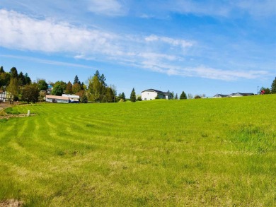 Escape the city life and build your dream house on a flat  20 on Tekoa Golf Club in Washington - for sale on GolfHomes.com, golf home, golf lot