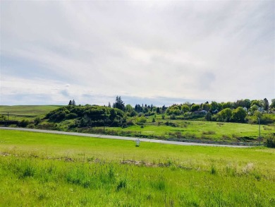 Escape the city life and build your dream house on a flat  20 on Tekoa Golf Club in Washington - for sale on GolfHomes.com, golf home, golf lot