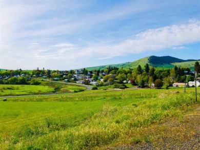 Escape the city life and build your dream house on a flat  20 on Tekoa Golf Club in Washington - for sale on GolfHomes.com, golf home, golf lot
