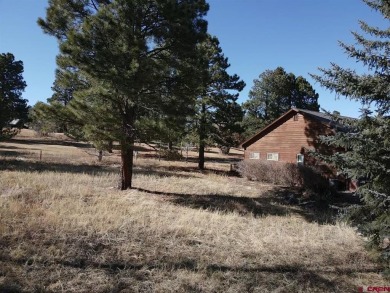 Michael D Knapp, Best of Pagosa Springs, C: , mike,  : Prime on Pagosa Springs Golf Club in Colorado - for sale on GolfHomes.com, golf home, golf lot
