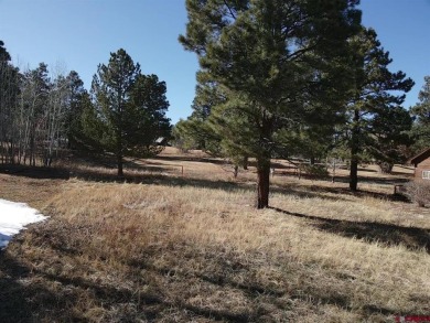 Michael D Knapp, Best of Pagosa Springs, C: , mike,  : Prime on Pagosa Springs Golf Club in Colorado - for sale on GolfHomes.com, golf home, golf lot