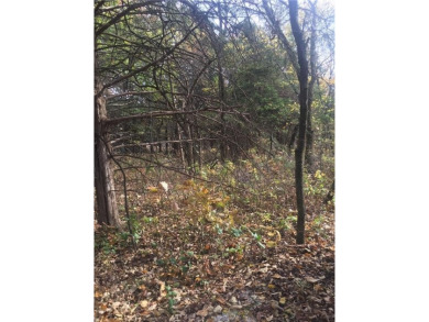 WOW!!!! Look at this beautiful secluded 2 wooded lot paradise on Sugar Valley Lakes Golf Course in Kansas - for sale on GolfHomes.com, golf home, golf lot