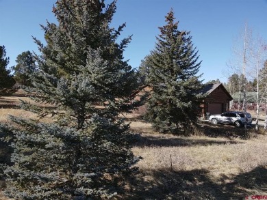 Michael D Knapp, Best of Pagosa Springs, C: , mike,  : Prime on Pagosa Springs Golf Club in Colorado - for sale on GolfHomes.com, golf home, golf lot