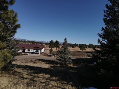 Michael D Knapp, Best of Pagosa Springs, C: , mike,  : Prime on Pagosa Springs Golf Club in Colorado - for sale on GolfHomes.com, golf home, golf lot
