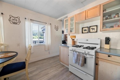 Great Mountain Get-Away, with great views, close to Bear on Big Bear Mountain Ski and Golf Resort in California - for sale on GolfHomes.com, golf home, golf lot