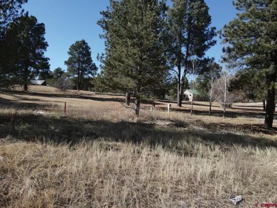 Michael D Knapp, Best of Pagosa Springs, C: , mike,  : Prime on Pagosa Springs Golf Club in Colorado - for sale on GolfHomes.com, golf home, golf lot