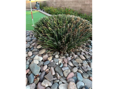 Arguably Laughlin's most attractive listing with a mixture of a on Mojave Resort Golf Club in Nevada - for sale on GolfHomes.com, golf home, golf lot