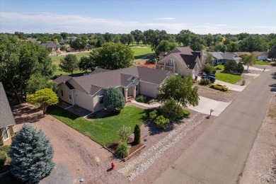 Enjoy your beautiful views of of the Pueblo West golf coarse on Desert Hawk At Pueblo West in Colorado - for sale on GolfHomes.com, golf home, golf lot