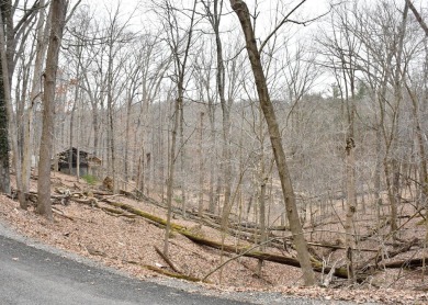 Looking to build in the private community of Hide-A-Way Hills? on Hide-A-Way Hills Golf Club in Ohio - for sale on GolfHomes.com, golf home, golf lot