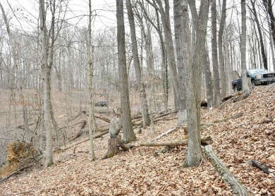 Looking to build in the private community of Hide-A-Way Hills? on Hide-A-Way Hills Golf Club in Ohio - for sale on GolfHomes.com, golf home, golf lot