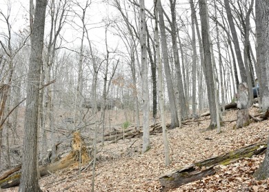 Looking to build in the private community of Hide-A-Way Hills? on Hide-A-Way Hills Golf Club in Ohio - for sale on GolfHomes.com, golf home, golf lot