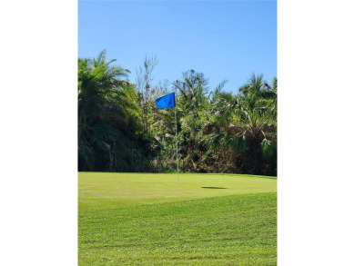 Embrace the Florida lifestyle at Timber Creek, a 55+ community on Timber Creek Golf Course in Florida - for sale on GolfHomes.com, golf home, golf lot