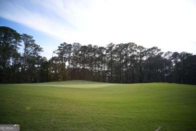 Dive into lakeside luxury at its finest in the heart of Turtle on Turtle Cove Golf Course in Georgia - for sale on GolfHomes.com, golf home, golf lot