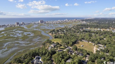 Tantalizing Tidewater Marsh front lot on Williams Creek.  This on Tidewater Golf Club and Plantation in South Carolina - for sale on GolfHomes.com, golf home, golf lot