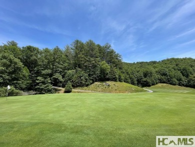 Exceptional opportunity to acquire a prime Golf View lot. Revel on Burlingame Country Club in North Carolina - for sale on GolfHomes.com, golf home, golf lot