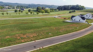 Welcome to resort-style living in the heart of East TN at on Tennessee National Golf Club in Tennessee - for sale on GolfHomes.com, golf home, golf lot