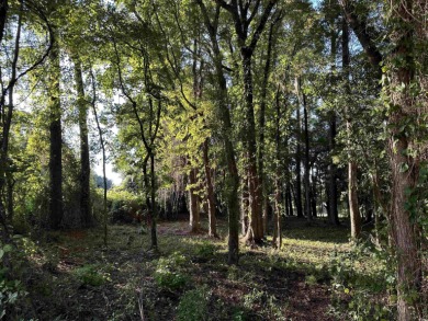 This is a unique opportunity to own a picturesque lot on the on Wedgefield Plantation Golf Club in South Carolina - for sale on GolfHomes.com, golf home, golf lot
