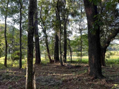 This is a unique opportunity to own a picturesque lot on the on Wedgefield Plantation Golf Club in South Carolina - for sale on GolfHomes.com, golf home, golf lot
