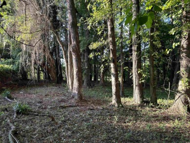 This is a unique opportunity to own a picturesque lot on the on Wedgefield Plantation Golf Club in South Carolina - for sale on GolfHomes.com, golf home, golf lot