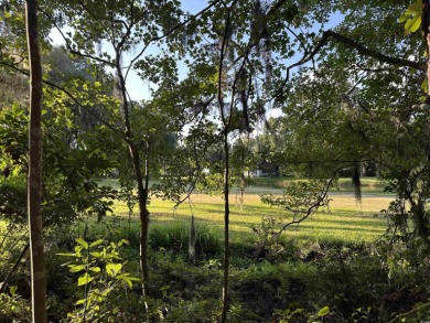 This is a unique opportunity to own a picturesque lot on the on Wedgefield Plantation Golf Club in South Carolina - for sale on GolfHomes.com, golf home, golf lot